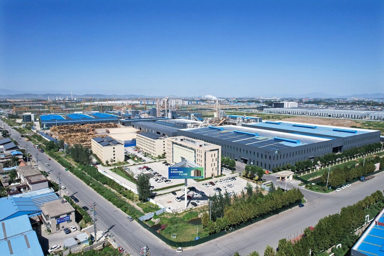 官媒聚焦！新港仿生胶，破解世界级环保难题